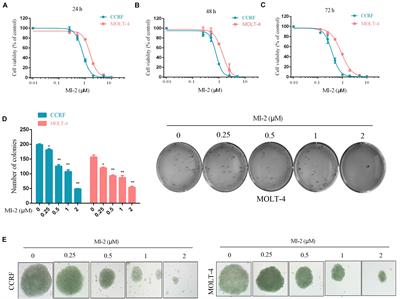 MALT1 Inhibition as a Therapeutic Strategy in T-Cell Acute Lymphoblastic Leukemia by Blocking Notch1-Induced NF-κB Activation